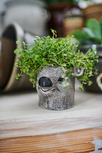 Potte Orso - Ø9 Cm, Grå 2 Potte Orso - Ø9 Cm, Grå - Bilde 2