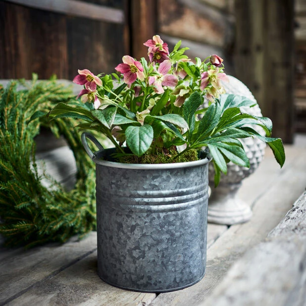 Potte Aidan - Ø19 Cm, Grå 2 Potte Aidan - Ø19 Cm, Grå - Bilde 2