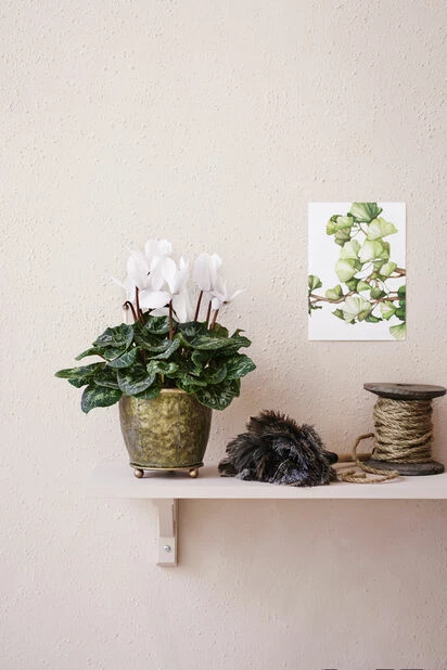 Potte Jessie - Ø14 Cm, Grå 3 Potte Jessie - Ø14 Cm, Grå - Bilde 3