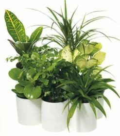 Potte Harmoni - Ø29 Cm, Hvit -Potteplante Salgsbutikk 2334984 70587823349845