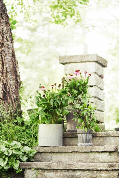 Potte Kelly Med Fat - Ø23 Cm, Grå 2 Potte Kelly Med Fat - Ø23 Cm, Grå - Bilde 2