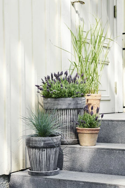 Potte Kelly Med Fat - Ø30 Cm, Grå 4 Potte Kelly Med Fat - Ø30 Cm, Grå - Bilde 4