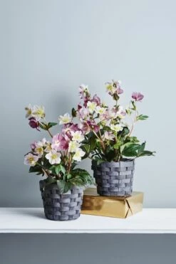 Kurv I Tre - Ø21 Cm, Grå -Potteplante Salgsbutikk 2344716 170116 Plantagen Jul11760