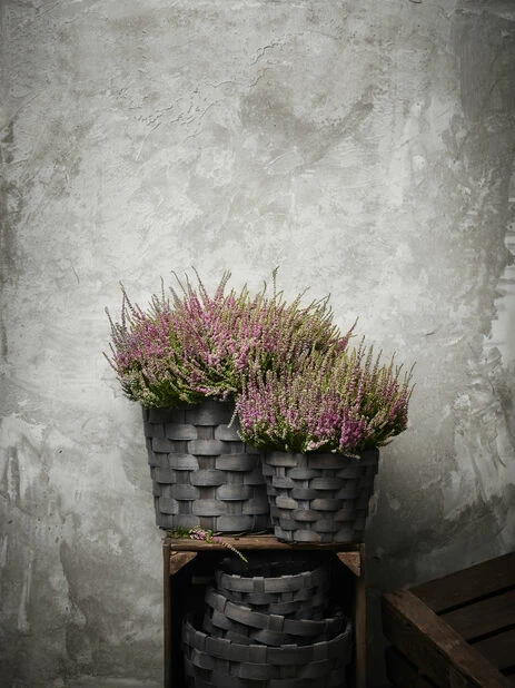 Kurv I Tre - Ø26 Cm, Grå 4 Kurv I Tre - Ø26 Cm, Grå - Bilde 4