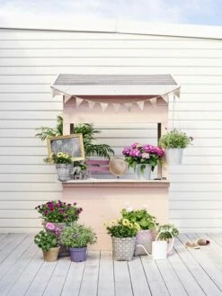 Potte Crewe - Ø17 Cm, Grå -Potteplante Salgsbutikk 2346451 KIDS20BLOMSTERBUTIK20POPUP20SOMMARBLOMMOR 1