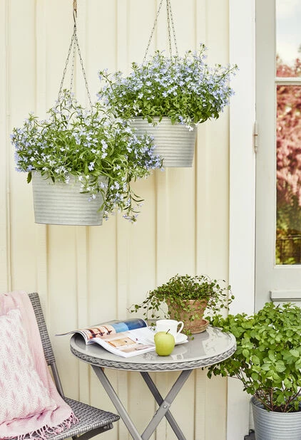 Potte Crewe - Ø32 Cm, Grå 2 Potte Crewe - Ø32 Cm, Grå - Bilde 2