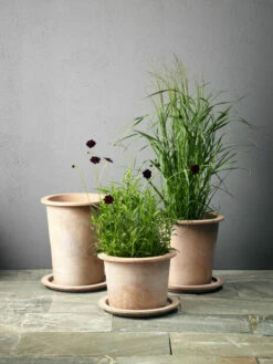 Potte Olea - Ø38 Cm, Terrakotta -Potteplante Salgsbutikk 2358294 70587823582941