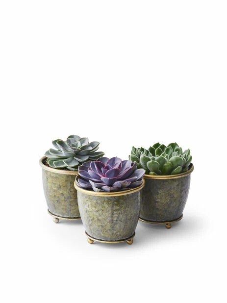 Potte Jessie - Ø14 Cm, Grå 2 Potte Jessie - Ø14 Cm, Grå - Bilde 2