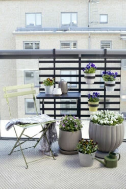 Potte Isolde - Ø38 Cm, Grønn -Potteplante Salgsbutikk 2400863 Viola 105cm 7058782364516 Tilia Isoldekruka 2018 2