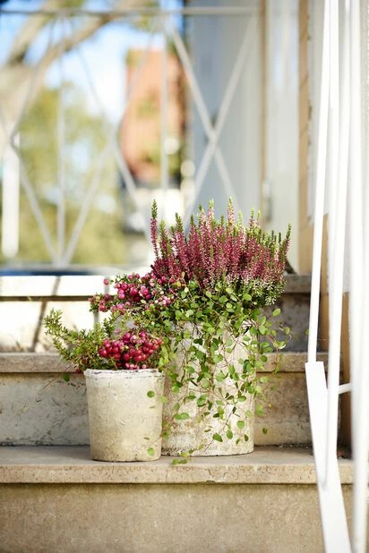 Potte Clay - Ø14 Cm, Grå 2 Potte Clay - Ø14 Cm, Grå - Bilde 2