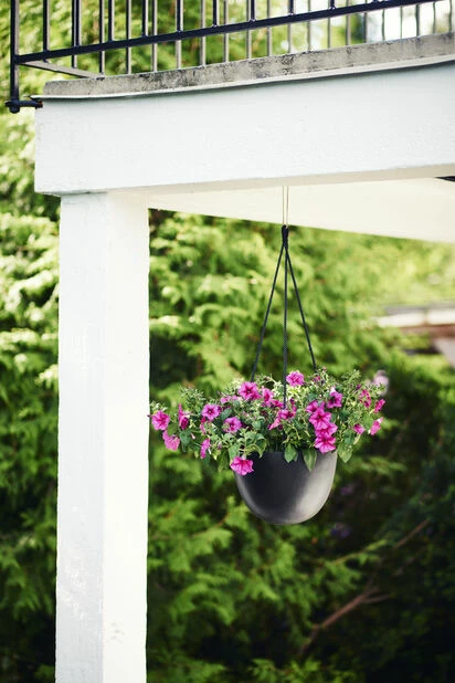 Ampelpotte Nova - Ø30 Cm, Svart 3 Ampelpotte Nova - Ø30 Cm, Svart - Bilde 3