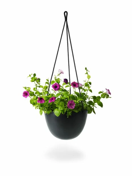 Ampelpotte Nova - Ø30 Cm, Svart 2 Ampelpotte Nova - Ø30 Cm, Svart - Bilde 2