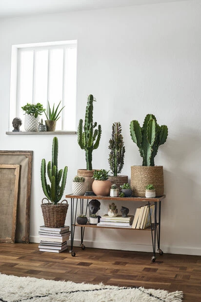 Kurv Evin - Ø21 Cm, Beige 2 Kurv Evin - Ø21 Cm, Beige - Bilde 2