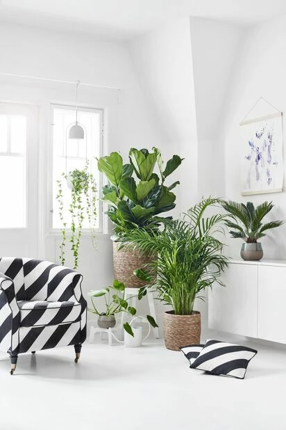 Kurv Evin - Ø39 Cm, Beige 2 Kurv Evin - Ø39 Cm, Beige - Bilde 2