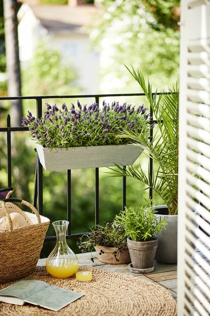 Potte Nova - Ø37 Cm, Grå 2 Potte Nova - Ø37 Cm, Grå - Bilde 2