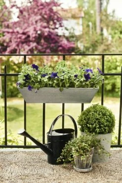 Potte Crewe - Ø17 Cm, Grå -Potteplante Salgsbutikk 2420557 160524 Plantagen EntreBalkong2388 1