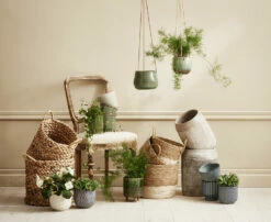 Potte Victoria - Ø15 Cm, Offwhite 6 Potte Victoria - Ø15 Cm, Offwhite -Potteplante Salgsbutikk 2430952 191107 Plantagen SP1 KrukorNyheter Land LOW2 3