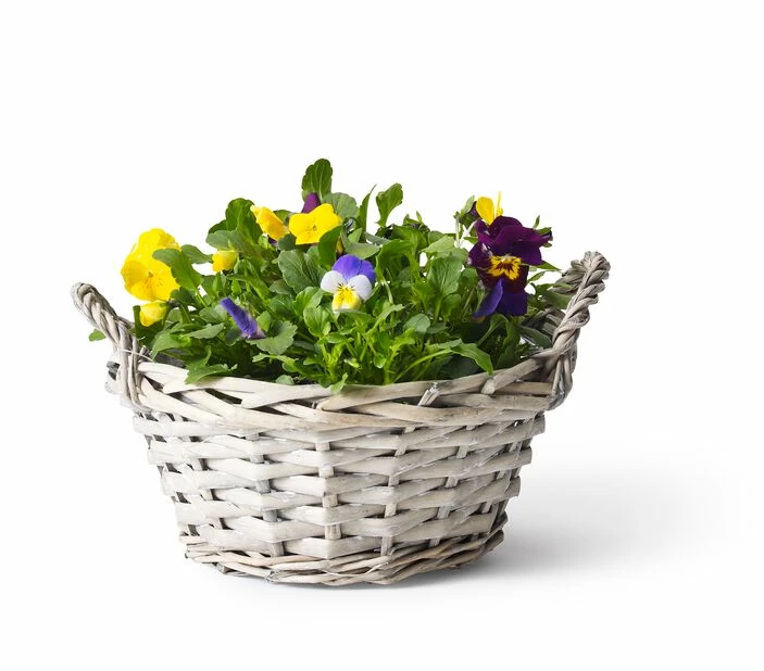 Kurv Edith - Ø21 Cm, Grå 2 Kurv Edith - Ø21 Cm, Grå - Bilde 2