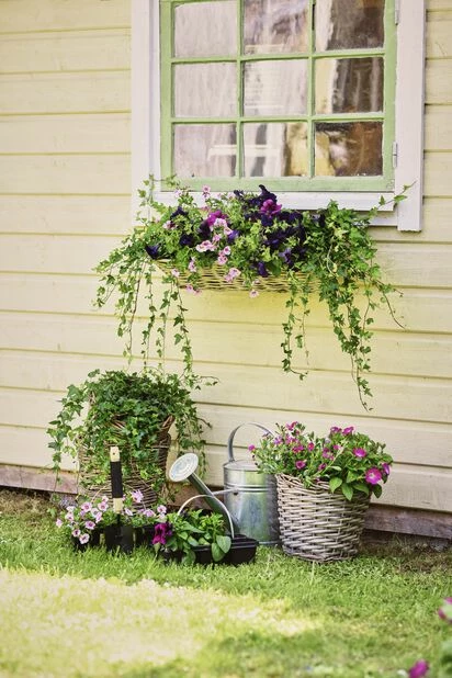 Edith Balkongkasse Med Oppheng - Lengde 61 Cm, Grå 4 Edith Balkongkasse Med Oppheng - Lengde 61 Cm, Grå - Bilde 4