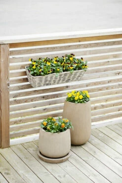 Edith Balkongkasse Med Oppheng - Lengde 61 Cm, Grå 6 Edith Balkongkasse Med Oppheng - Lengde 61 Cm, Grå -Potteplante Salgsbutikk 510386 705878236452320PENSEER202018