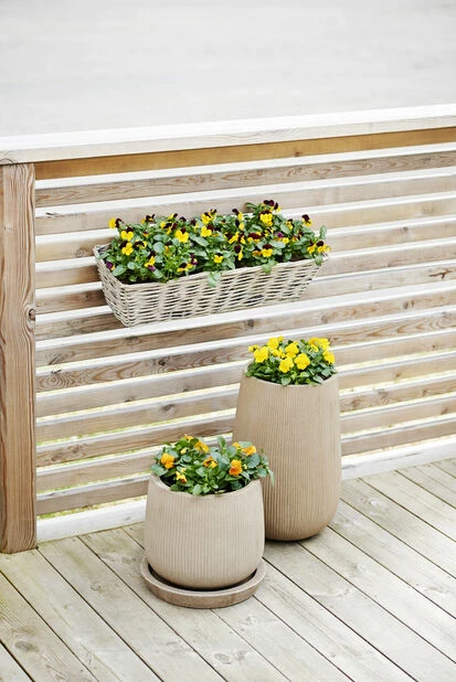 Edith Balkongkasse Med Oppheng - Lengde 61 Cm, Grå 3 Edith Balkongkasse Med Oppheng - Lengde 61 Cm, Grå - Bilde 3