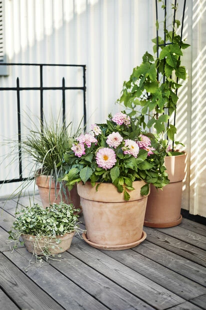 Fat Leire - Ø24 Cm, Terrakotta 3 Fat Leire - Ø24 Cm, Terrakotta - Bilde 3