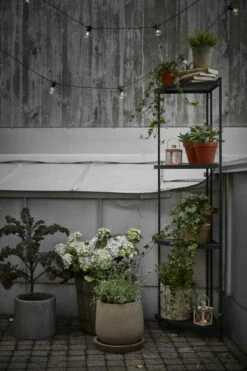 Potte Leire - Ø20 Cm, Terrakotta -Potteplante Salgsbutikk 513634 GYO Tilia cornershelf high cabbage hydrangea herb evening