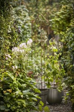 Potte Isolde - Ø28 Cm, Grønn -Potteplante Salgsbutikk 514169 Obelix high low