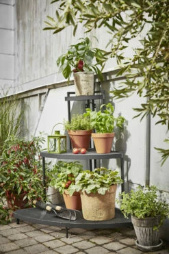 Potte Leire - Ø26 Cm, Terrakotta 5 Potte Leire - Ø26 Cm, Terrakotta -Potteplante Salgsbutikk 514776 GYO Tilia cornershelf low herbs chili