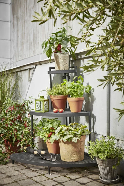 Potte Leire - Ø26 Cm, Terrakotta 3 Potte Leire - Ø26 Cm, Terrakotta - Bilde 3