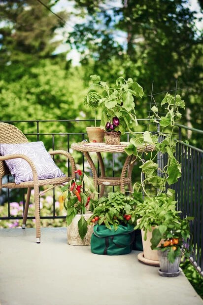 Potte Kelly Med Fat - Ø30 Cm, Grå 2 Potte Kelly Med Fat - Ø30 Cm, Grå - Bilde 2