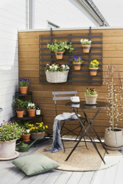 Potte Leire - Ø13 Cm, Terrakotta -Potteplante Salgsbutikk 521259 Viola 105cm 7058782364530 bistrocafeset 2018 1