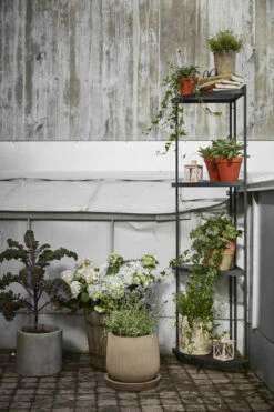 Fat Joel - Ø30 Cm, Grå -Potteplante Salgsbutikk 521264 GYO Tilia cornershelf high cabbage hydrangea herb