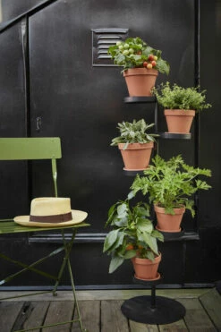 Fat Leire - Ø18 Cm, Terrakotta -Potteplante Salgsbutikk 521301 GYO Tilia pedistal herbs