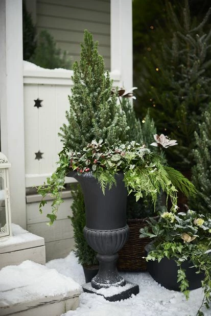 Skål Nova - Ø44 Cm, Svart 6 Skål Nova - Ø44 Cm, Svart - Bilde 6