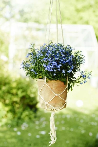 Potte Clay - Ø14 Cm, Grå 3 Potte Clay - Ø14 Cm, Grå - Bilde 3