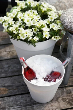 Potte Elho Loft Urban - Ø30 Cm, Hvit -Potteplante Salgsbutikk 530951 loft20urban20round