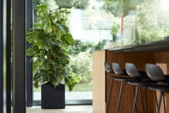 Potte Elho Vivo Med Hjul - Lengde 39 Cm, Svart 7 Potte Elho Vivo Med Hjul - Lengde 39 Cm, Svart -Potteplante Salgsbutikk 530981 vivo20matt20finish20square20wheels2040cm