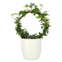 Potte Beda - Ø13 Cm, Offwhite 5 Potte Beda - Ø13 Cm, Offwhite -Potteplante Salgsbutikk 537860 Beda Pot D13 Offwhite 537860 3