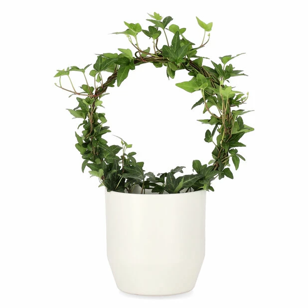 Potte Beda - Ø13 Cm, Offwhite 3 Potte Beda - Ø13 Cm, Offwhite - Bilde 3