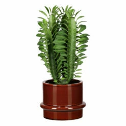Potte Gunilla - Ø16 Cm, Brun -Potteplante Salgsbutikk 537949 Gunilla Pot D16 Brown 537949 3