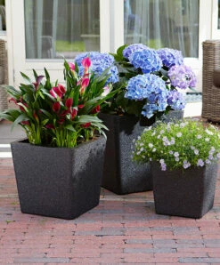 Potte Iqbana - Ø39 Cm, Svart -Potteplante Salgsbutikk 6058164 87150960581643