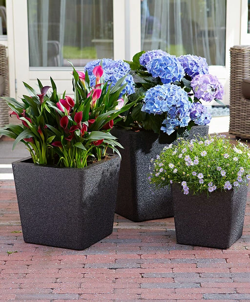 Potte Iqbana Firkantet - Ø32 Cm, Svart 3 Potte Iqbana Firkantet - Ø32 Cm, Svart - Bilde 3