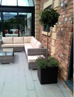 Potte Iqbana Firkantet - Ø32 Cm, Svart 7 Potte Iqbana Firkantet - Ø32 Cm, Svart -Potteplante Salgsbutikk 6058171 87150960581713