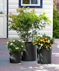 Potte Iqbana - Ø32 Cm, Svart -Potteplante Salgsbutikk 6058201 87150960582013