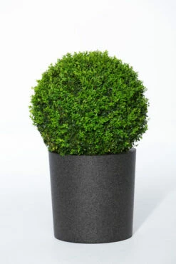 Potte Iqbana - Ø49 Cm, Svart -Potteplante Salgsbutikk 6090003 87150960900031