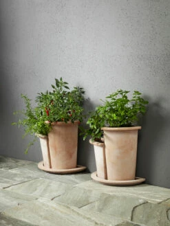 Fat Olea Halv - Ø40 Cm, Terrakotta -Potteplante Salgsbutikk 70587823583242