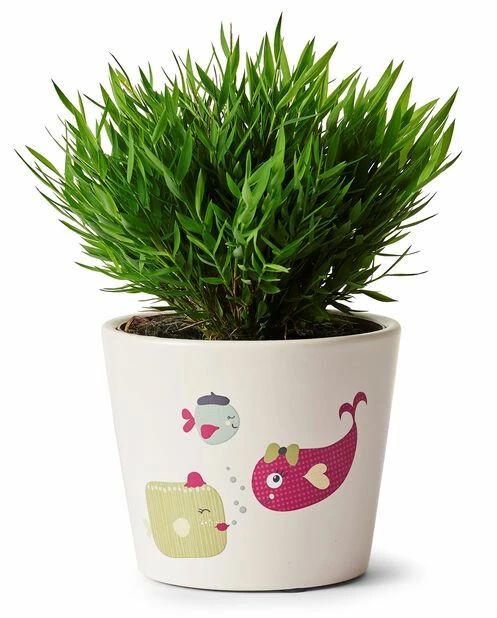 Potte Nilla - Ø13 Cm, Rosa 2 Potte Nilla - Ø13 Cm, Rosa - Bilde 2