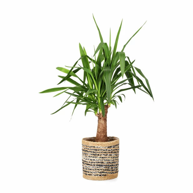 Kurv Denim - Ø25 Cm, Blå 2 Kurv Denim - Ø25 Cm, Blå - Bilde 2