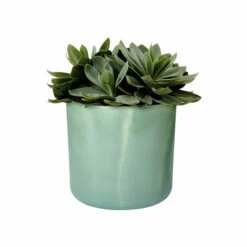 Potte Ocean Elho - Ø18 Cm, Grønn -Potteplante Salgsbutikk FW 549221 549223 ocean green p2